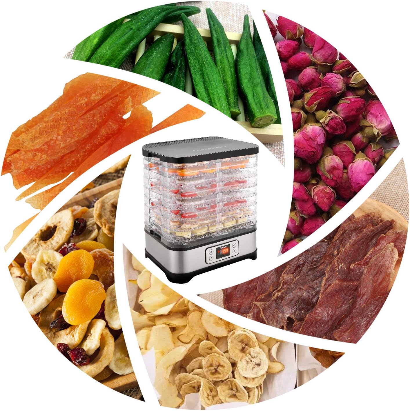 Nictemaw Fruitdroogautomaat, roestvrij staal, met 8 vakken, dehydrator met temperatuurregelaar, 400 W, 35-70 °C, 72-uurs timer voor groenten, fruit en vlees, zilver