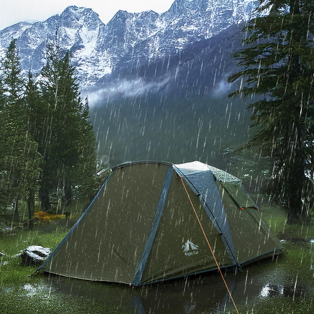 Night Cat Cabinetent met Vestibule: 4 personen duiken het Kamperen Tent Dubbele Lagen Gemakkelijke Snelle Waterdichte Installatie op