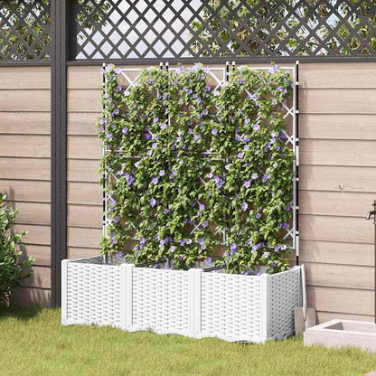 Gecheer Trellis 42002908 Tuinplantenbak, 3 stuks, wit, 120 x 40 x 143 cm, bloembak, bloembak, bloempot, voor balkon, tuin, terras, bloemen - QUORE