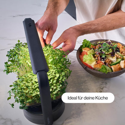 Smart Garden Starter Set - Indoor LED Groenbak - 12 Biologische Zaadpads - Oceaanplastic Wit - Scandinavisch Design - 7 Dag Oogst