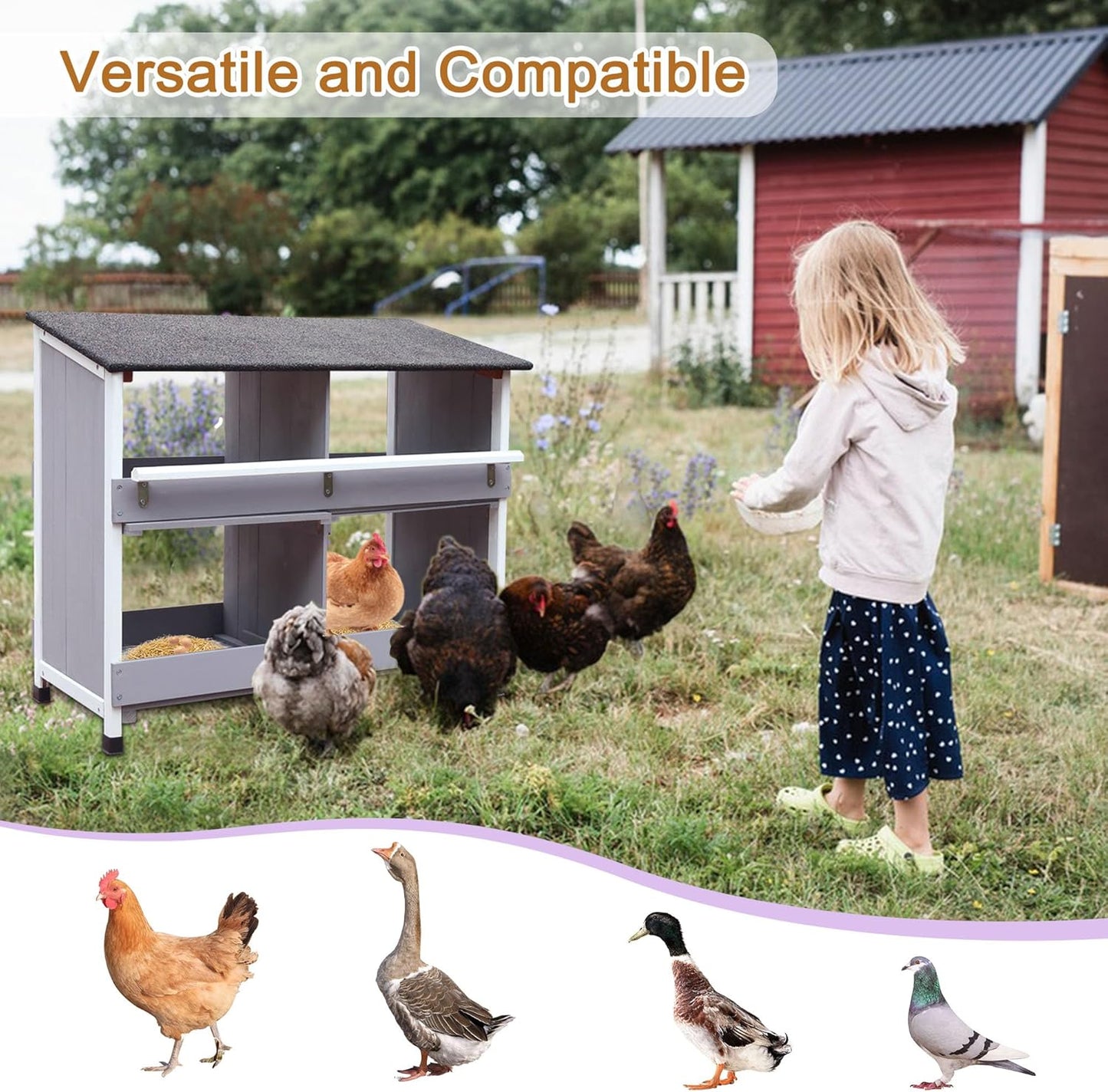 Chicken nest for chickens, chicken nest with sloping bottom, with ventilation holes, easy cleaning, 4 compartments chicken coop winter proof, L x W x H 82 x 38 x 82 cm, storage room - QUORE