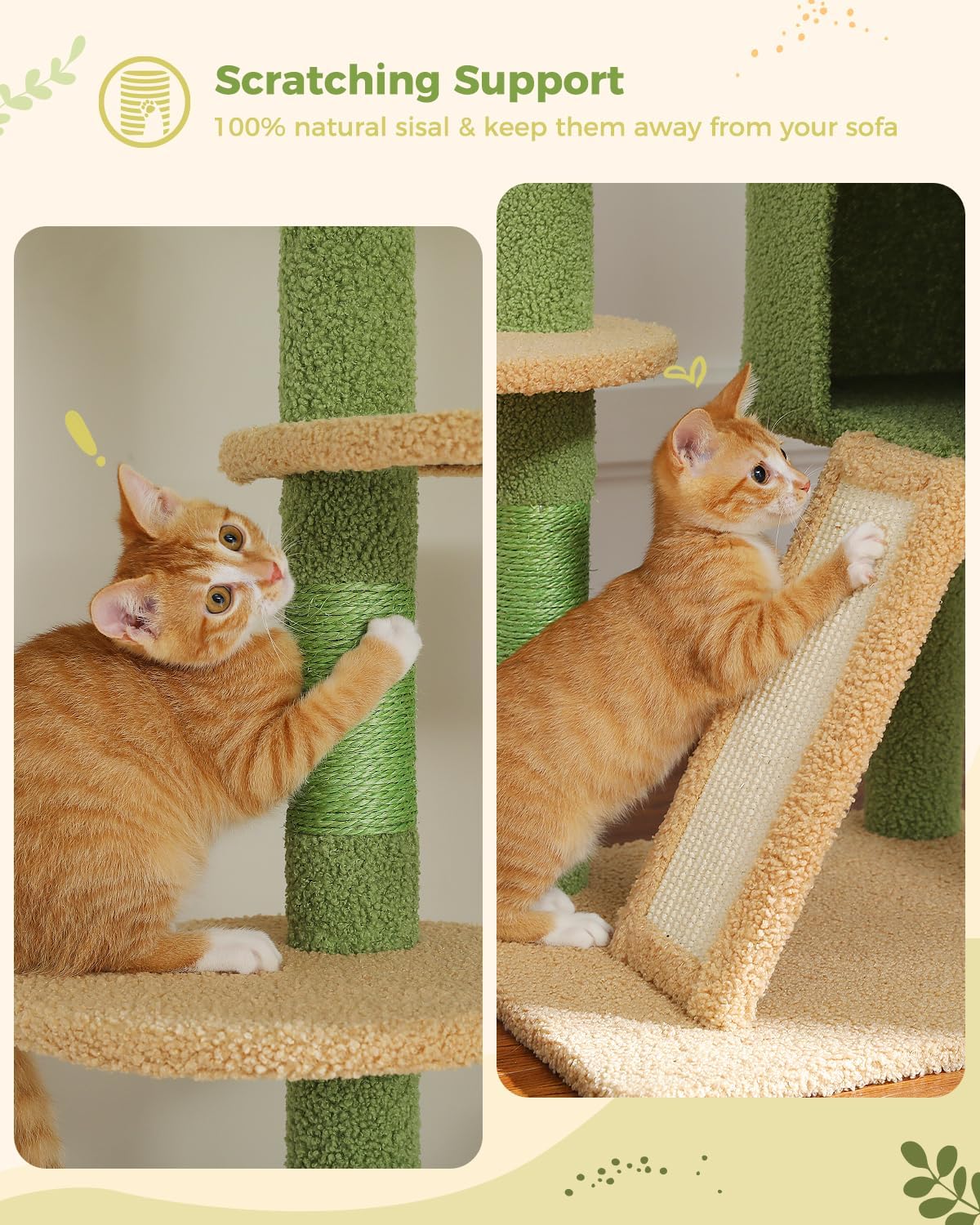 PAWZ Road High Cat Tree Floor to Ceiling Cat Tower Cactus with Adjustable Height (230-252cm), Cat Climbing Activity Center with Scratching Posts, Apartment, Cozy Hammock and Dangling Balls for - QUORE