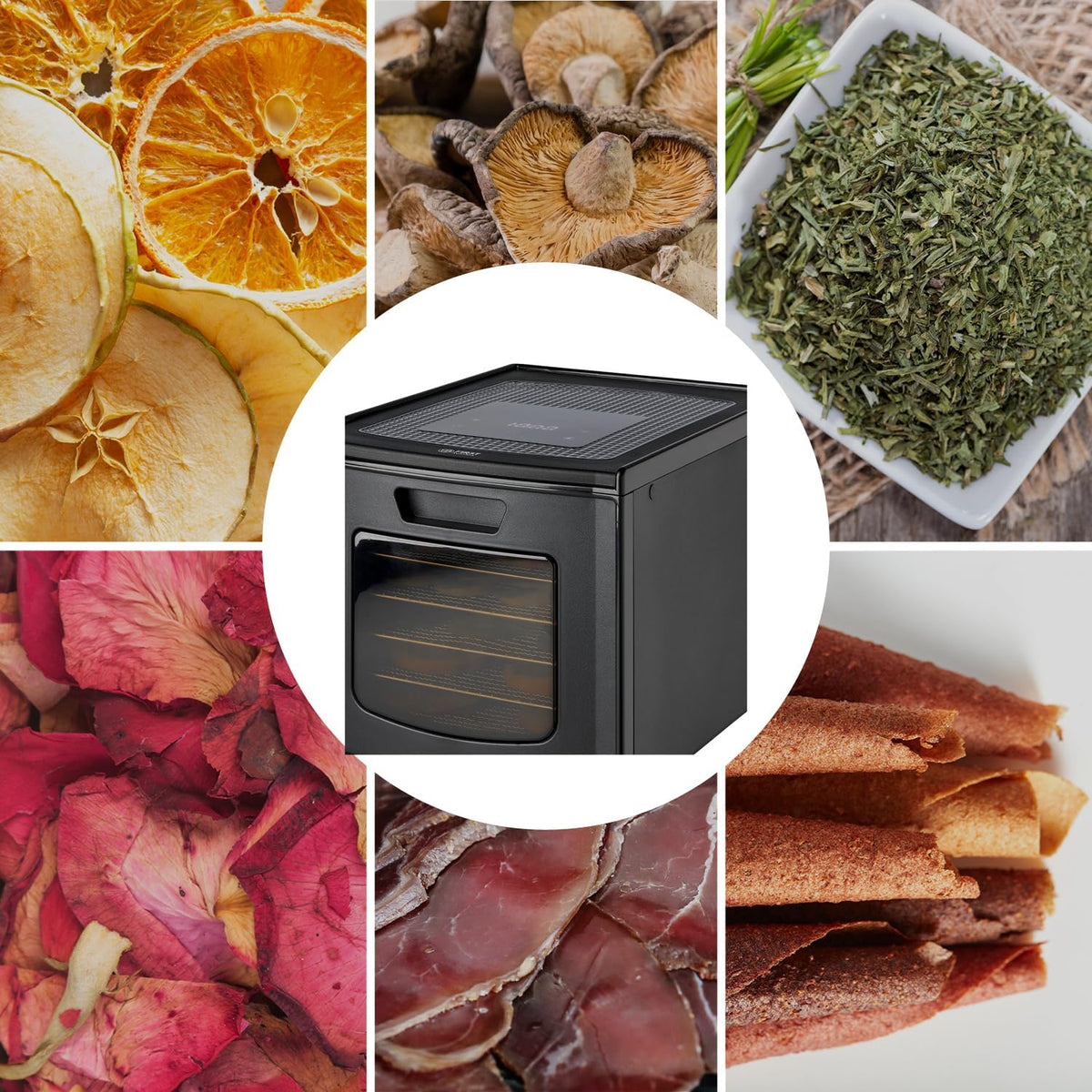 TZS First Austria Dehydrator - Dehydrator voor fruit, groenten en vlees - Digitaal met timer en temperatuurregeling 35-70°C - 6 roestvrijstalen niveaus, dehydrator met timer