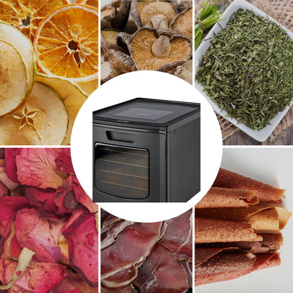 TZS First Austria Dehydrator - Dehydrator voor fruit, groenten en vlees - Digitaal met timer en temperatuurregeling 35-70°C - 6 roestvrijstalen niveaus, dehydrator met timer