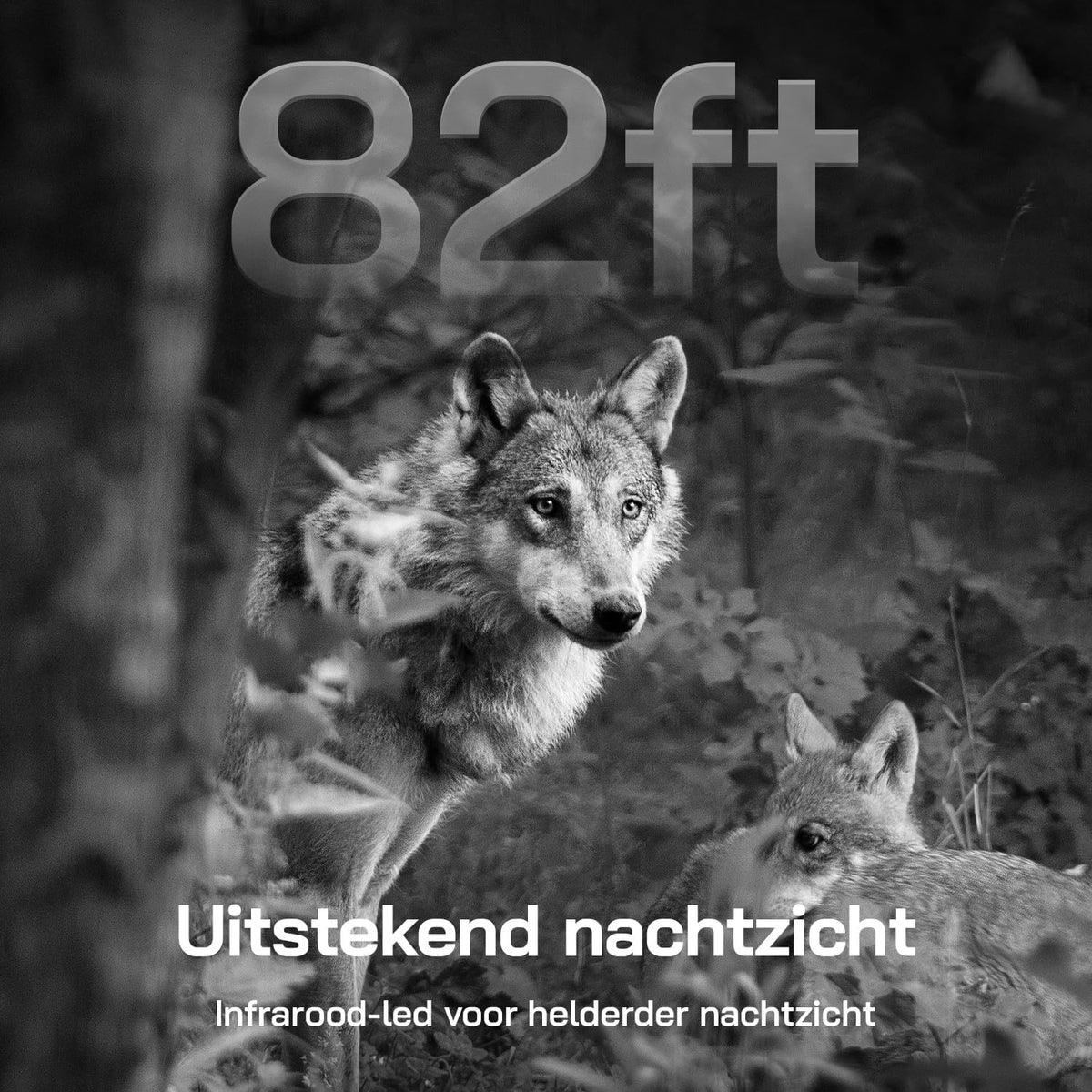 WOLFANG WT04 Jachtcamera, 4G Fotoval op Zonne-energie met Vooraf Geïnstalleerde Simkaart en SD-kaart, Externe 2.5K-jachtcamera met Zonnepaneel, Onzichtbaar Infrarood, PIR-detectie, Waterdicht