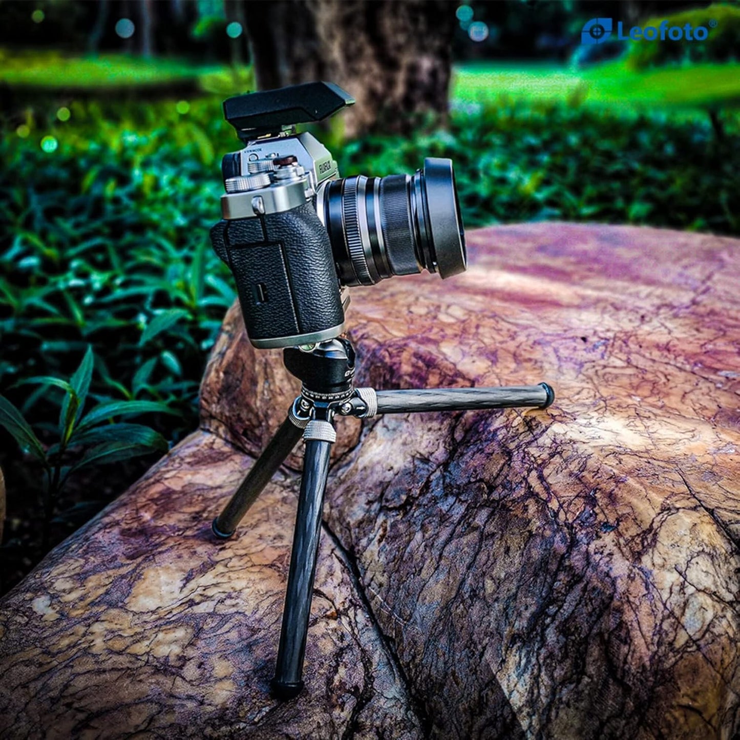 Leofoto MT-02C+LH-22 Tafelblad Statief, Mini Travel, Koolstofvezel, 2 Benen Sectie, 1/4" Statief Montage Stud Ball Head Kit (zwart)