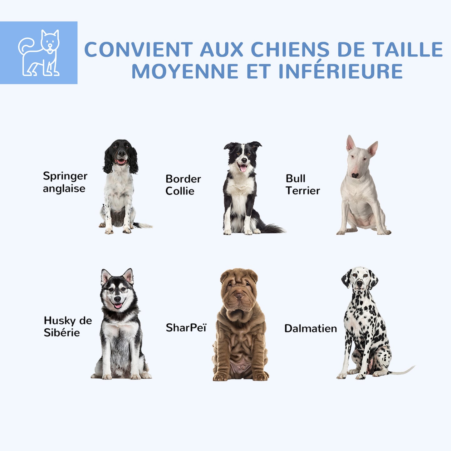Buitenkennel Hond – Hondenren – Hondenverblijf – Hondenhok – Buitenren – Waterafstotend Oxford-Dak – Gegalvaniseerd Stalen Frame