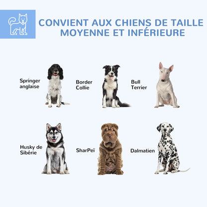 Buitenkennel Hond – Hondenren – Hondenverblijf – Hondenhok – Buitenren – Waterafstotend Oxford-Dak – Gegalvaniseerd Stalen Frame