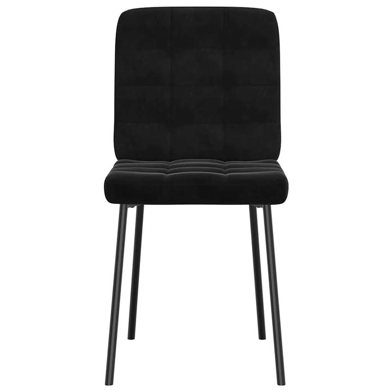 Tuinpoort – Tuindeur – Hekpoort – Schuttingdeur – Tuinafscheiding – Zwart Metaal – Dubbele Deuren – 400x150 cm – Weerbestendig & Veilig