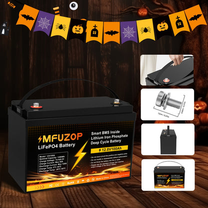 Lithium Accu – LiFePO4 Accu – Oplaadbare Batterij – Bootaccu – Camper Accu – 12V 100Ah – 100A BMS Bescherming – 8000+ Cyclus Levensduur