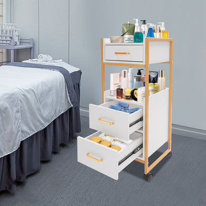 Kapperswagen – Kappers Trolley – Werkwagen – Kapperskar – Salonwagen – 3 Laden – 50 KG Draagvermogen – Met Haardrogerhouder – Mobiel en Compact – Wit met Gouden Frame