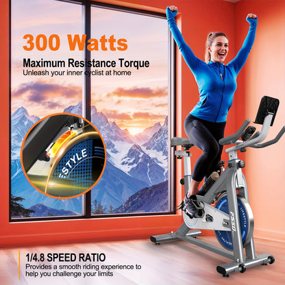 Hometrainer – Ergometer – Fitnessfiets – Indoor Bike – Stationaire Fiets – 300 Watt Weerstand – Stabiliteit Tot 150 Kg – Grijs