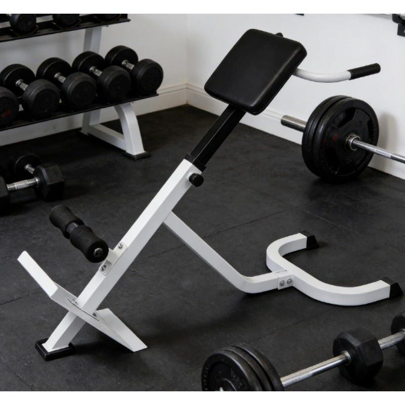 Adjustable Back Extension Bench Roman Chair Home Gym Equipment - 5-Level Strength Training System with Core Workout Bench, Space-Saving for Small Apartment, Easy Assembly, Durable Frame & PU (for Back Extensions,