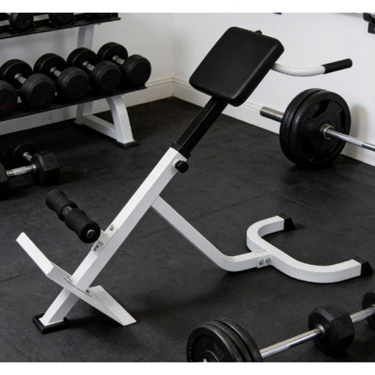 Adjustable Back Extension Bench Roman Chair Home Gym Equipment - 5-Level Strength Training System with Core Workout Bench, Space-Saving for Small Apartment, Easy Assembly, Durable Frame & PU (for Back Extensions,