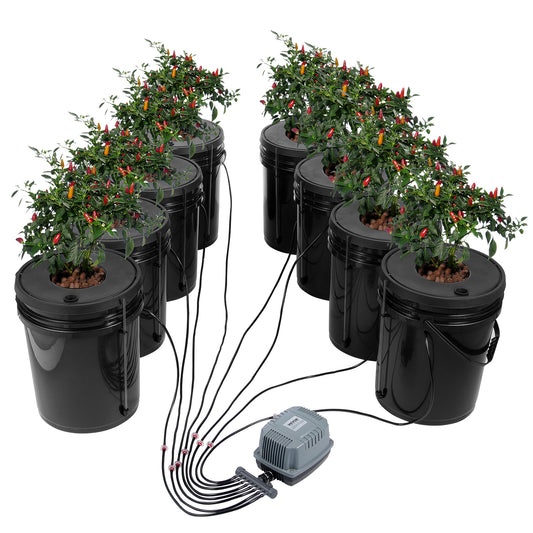 Hydroponicsysteem – Hydrocultuursysteem – Kweekset – Plantenbak – DWC Grow Kit – 20 Liter Capaciteit – Krachtige 8W Luchtpomp