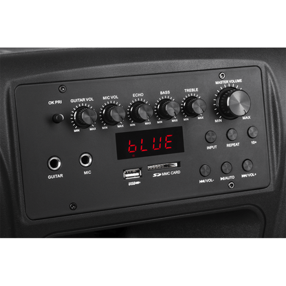 Draadloze Microfoonset – Actieve Speaker – Bluetooth Speaker – Karaoke Microfoon – Presentatie Microfoon – 12 Inch Woofer – 40W Vermogen