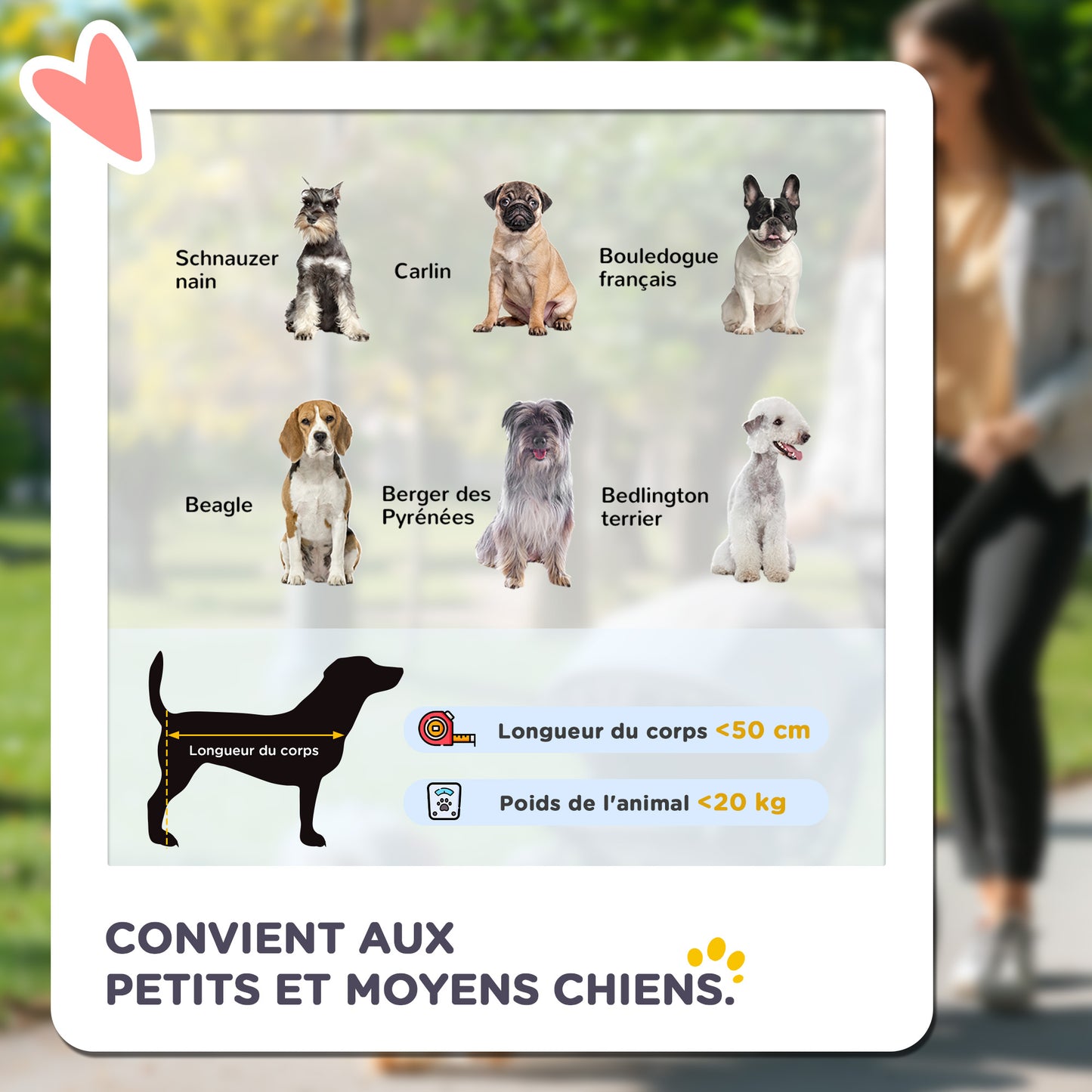 Dierenbuggy – Huisdierenwagen – Hondenwagen – Kattenbuggy – Dierenkar – Inklapbaar Ontwerp – Ventilerende Raampjes – Stalen Frame – Remwielen – Grijs