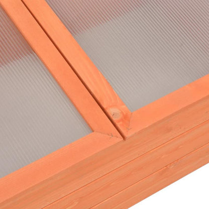 Kweekkas – Tuinkas – Broeikas – Plantenkas – Mini Kas – Houten Constructie – Compact 100x50x34 cm