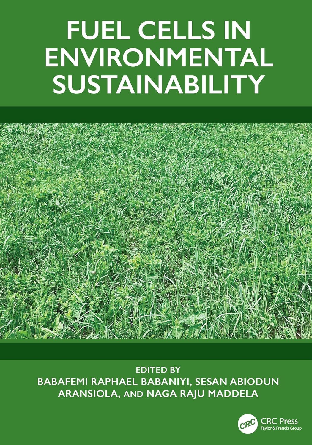 Brandstofcellen En Duurzame Energie – Boek – Naslagwerk – Studieboek – Informatief Boek – Voor Studie En Onderzoek – Milieuvriendelijke Energieoplossingen
