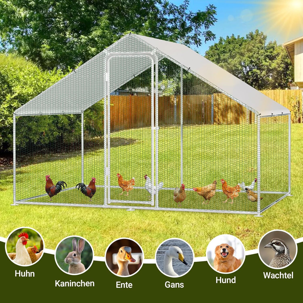 Kippenhok – Buitenren – Dierenhok – Vogelkantoor – Buitenkooi – Verzinkt Stalen Frame – Afmetingen 3x6x2 Meter
