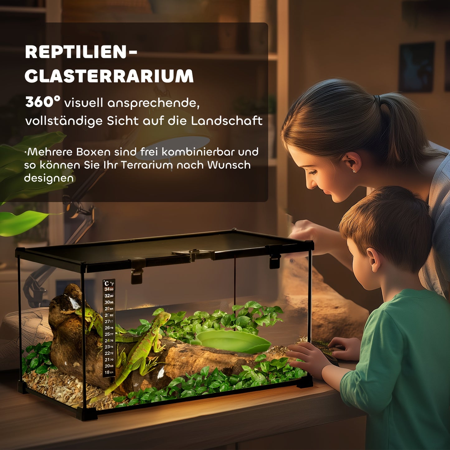 Reptilienterrarium – Glazen Terrarium – Amfibieën Terrarium – Spinnenterrarium – Kweekbak – Zwart Design – Ingebouwde Thermometer – 50 x 30 x 25 cm