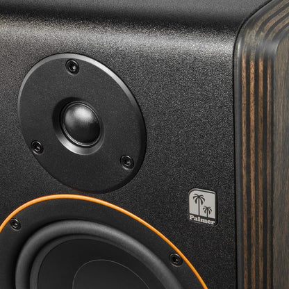 PALMER STUDIMON 5 monitor estudio precio características