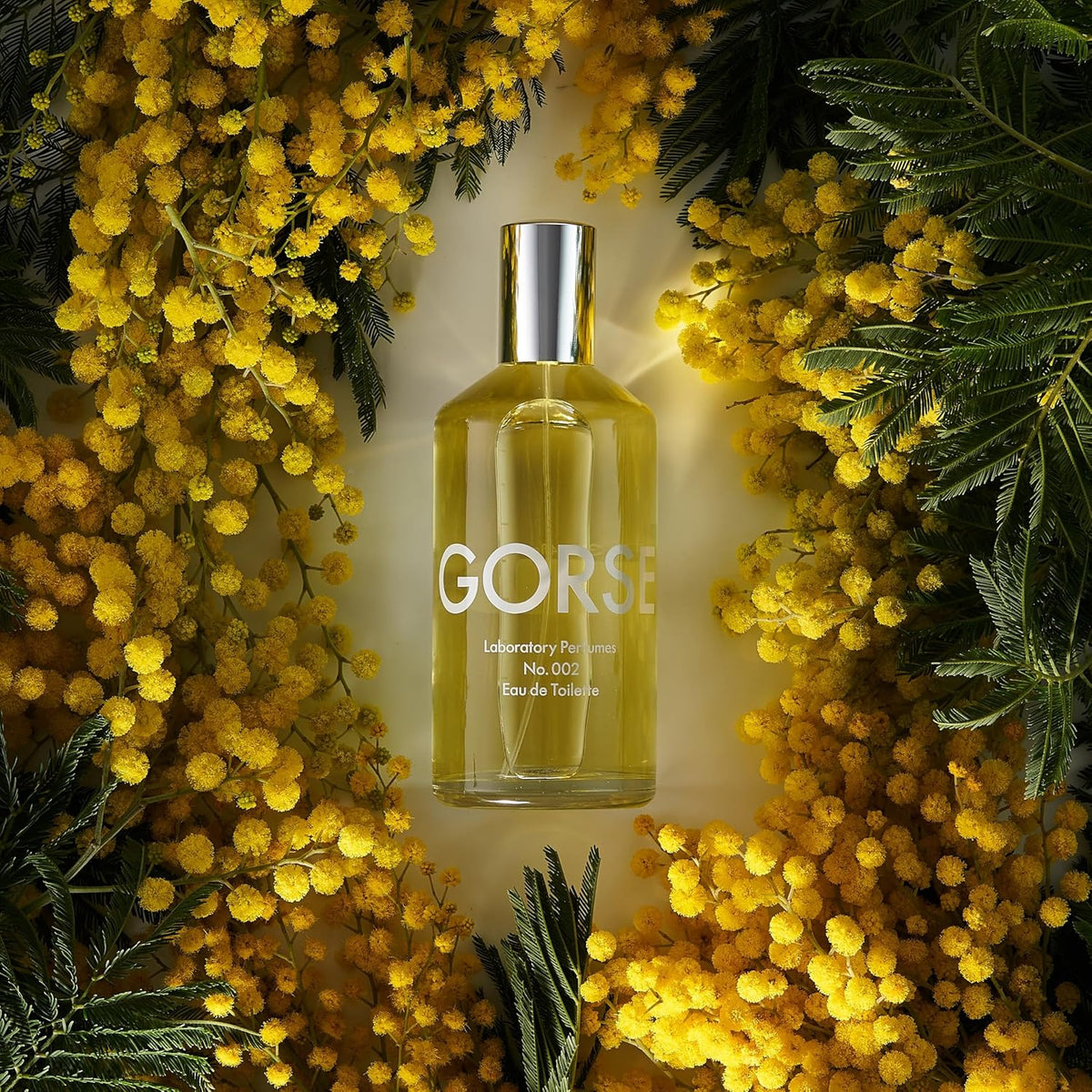Laboratory Perfumes Gorse Eau de Toilette, Citrus en Kokos Geur, 100ml