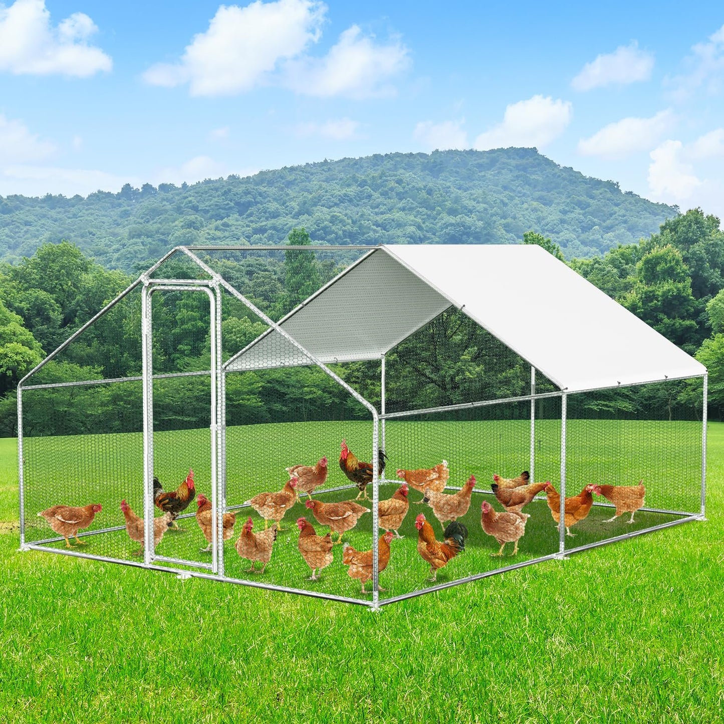 Kippenhok – Kippenren – Pluimveeverblijf – Vogelkooi – Dierenverblijf – XXL 3x4x2 Meter – Veiligheidslot – Waterdicht UV-bestendig Dak