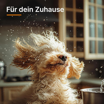 THOMAS Cycloon Hybrid Family & Pets, zakloze stofzuiger, cycloonstofzuiger, cycloonfiltering, waterfiltering, ideaal voor diereneigenaars, maximaal 1700 watt, Made in Germany