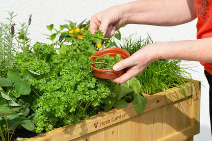Herb Garden - Natural (FSC 100%)