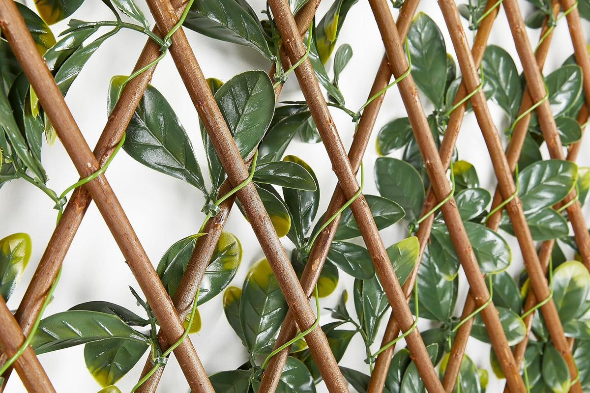 Bayberry decoratieve weerbestendige inkijkbescherming voor tuin en balkon - in grootte verstelbaar en geluidsisolerend 100 x 200 cm