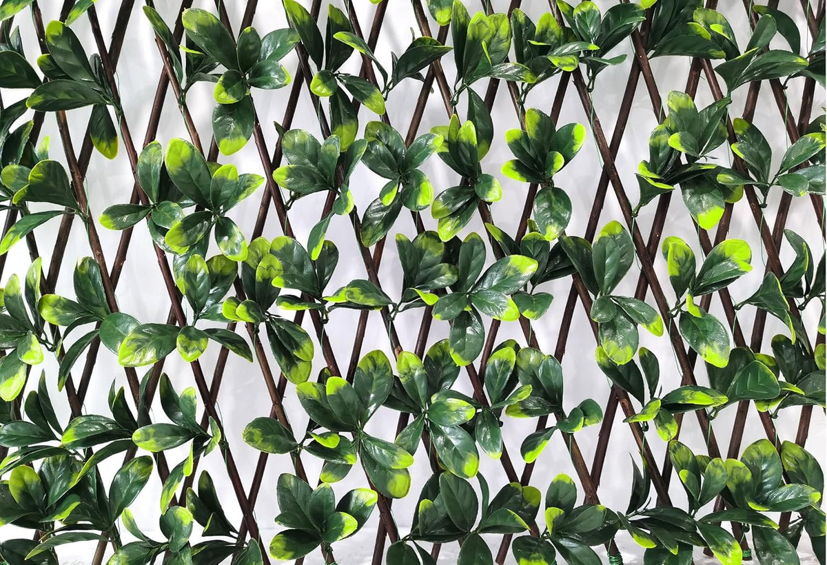 Bayberry decoratieve weerbestendige inkijkbescherming voor tuin en balkon - in grootte verstelbaar en geluidsisolerend 100 x 200 cm