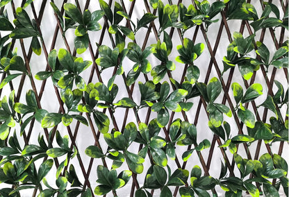 Bayberry decoratieve weerbestendige inkijkbescherming voor tuin en balkon - in grootte verstelbaar en geluidsisolerend 100 x 200 cm