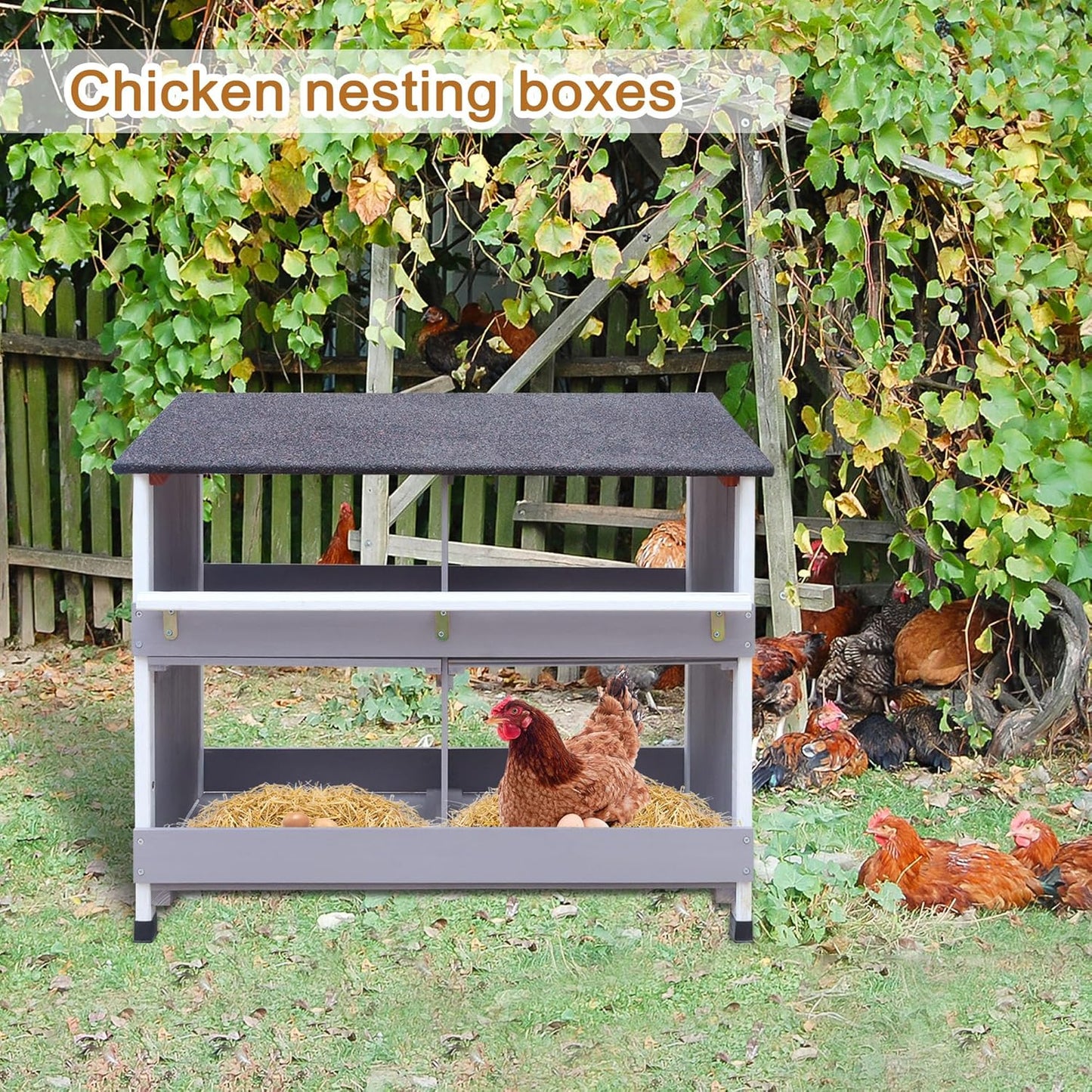 Chicken nest for chickens, chicken nest with sloping bottom, with ventilation holes, easy cleaning, 4 compartments chicken coop winter proof, L x W x H 82 x 38 x 82 cm, storage room - QUORE