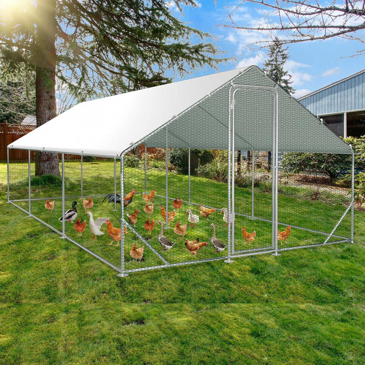 3 x 6 x 2 m chicken coop with door and latch, for chickens, rabbits, geese, pigeons and quails, metal run with net - QUORE
