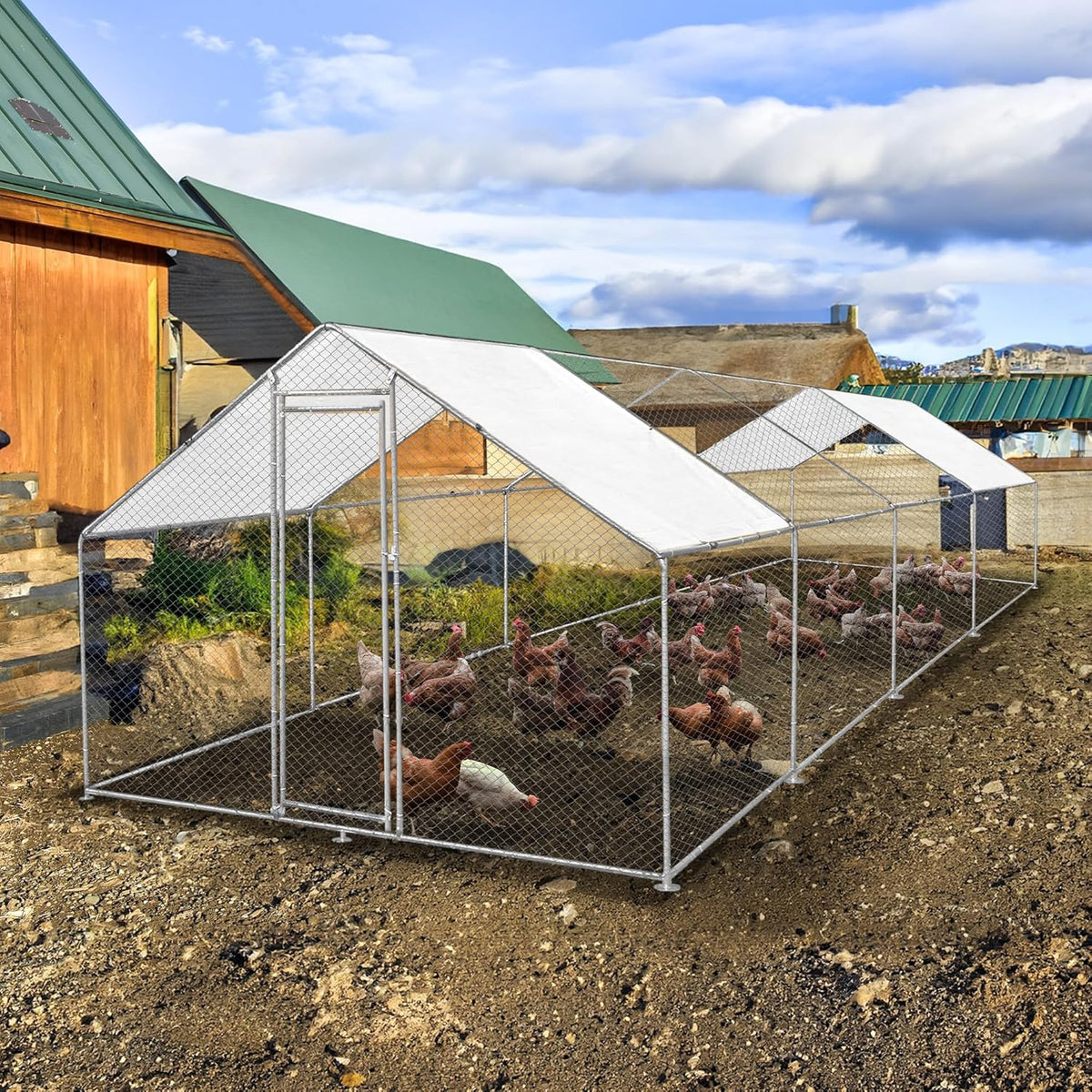 Freestanding Chicken coop Chicken coop Chicken enclosure 3m x 8m x 2m Free roof covers and feeding scoop - QUORE