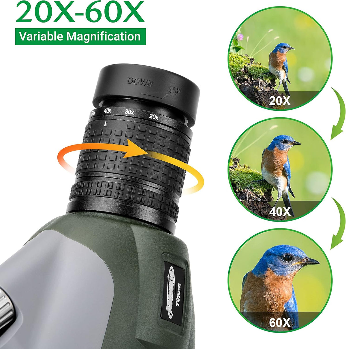 20-60 x 70 HD Telescopische Zoom Spotting Scope met verstelbaar en licht telescopisch statief en telefoonadapter, draagbare telescoop voor wildobservatie, doelschieten en observeren