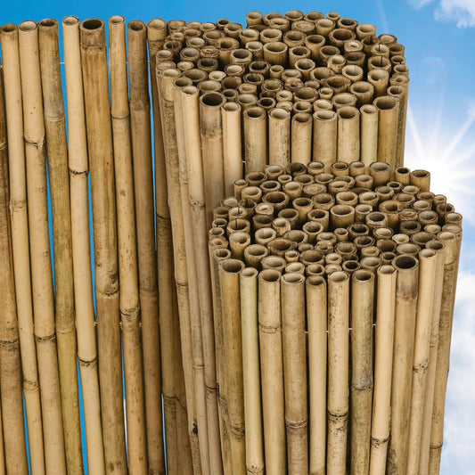 Sol Royal Privacyscherm Bamboe 180x250 cm (HxB) SolVision B38 – Duurzaam & Weerbestendig 100% FSC® Bamboe Balkonscherm Tuinscherm Wind- & Zonbescherming voor Terras Tuin