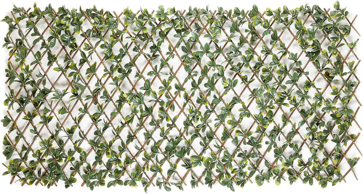Bayberry decoratieve weerbestendige inkijkbescherming voor tuin en balkon - in grootte verstelbaar en geluidsisolerend 100 x 200 cm