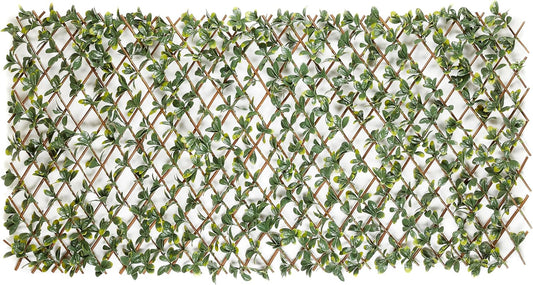 Bayberry decoratieve weerbestendige inkijkbescherming voor tuin en balkon - in grootte verstelbaar en geluidsisolerend 100 x 200 cm