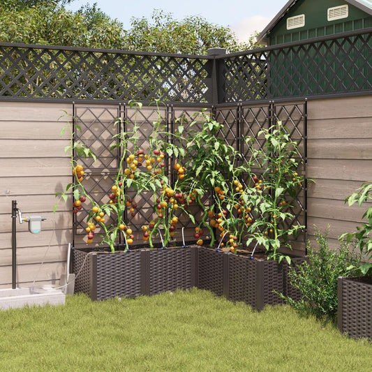 Garden Pots with Irrigation System, 5 Pieces, Brown, Square, Large with Extendable Trellis for Climbing Plants, Robust Plastic Construction - QUORE