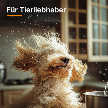 Cilinderstofzuiger – Stofzuiger – Nat en Droogreiniger – Dierenhaarverwijderaar – Waszuiger – 1700W Krachtige Motor – Waterfiltratiesysteem Zonder Stofzak