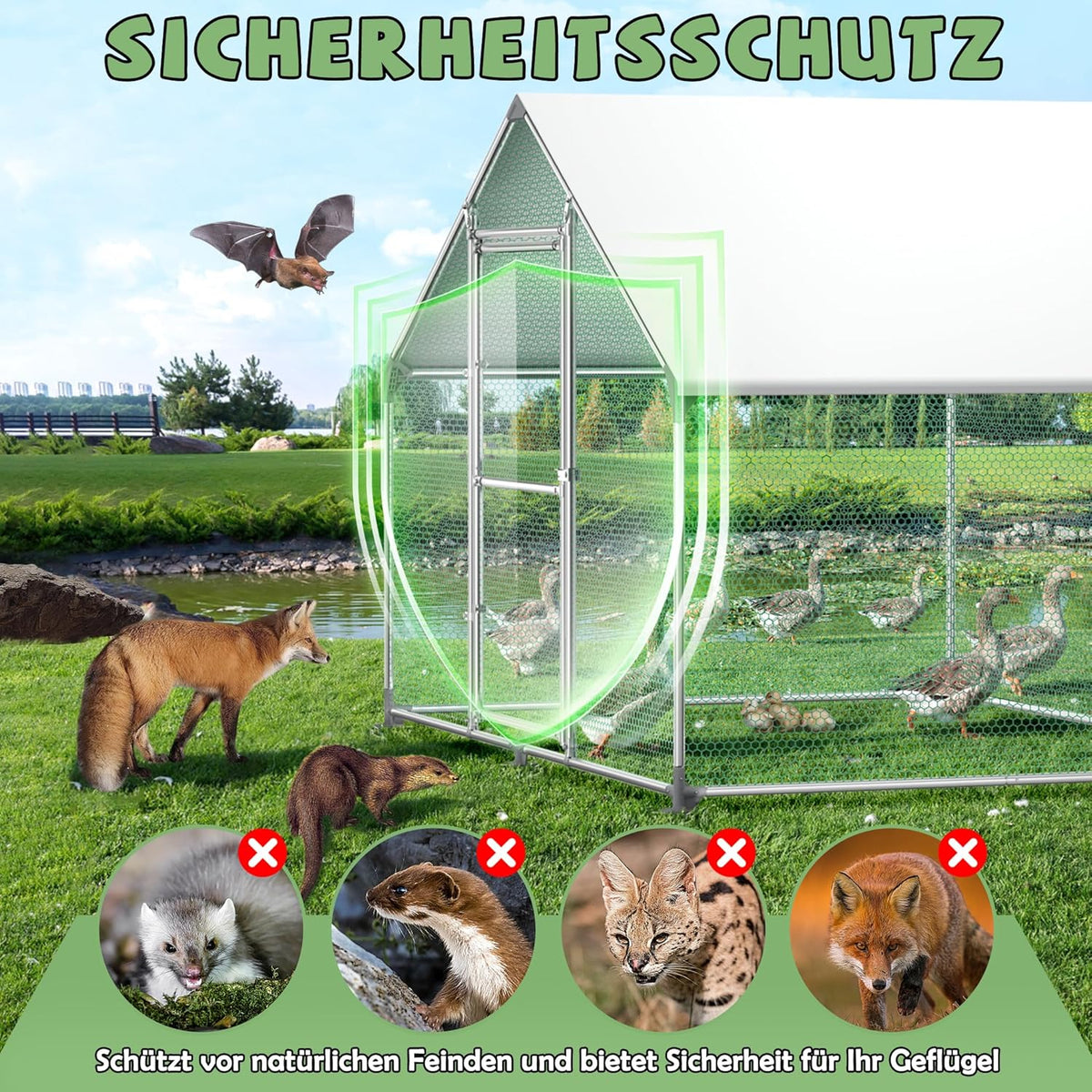 Buitenren Kip – Kippenren – Konijnenhok – Gevogeltekooi – Buitenhok – Verzinkt Stalen Frame – PE Zonnescherm (3x8x2m)