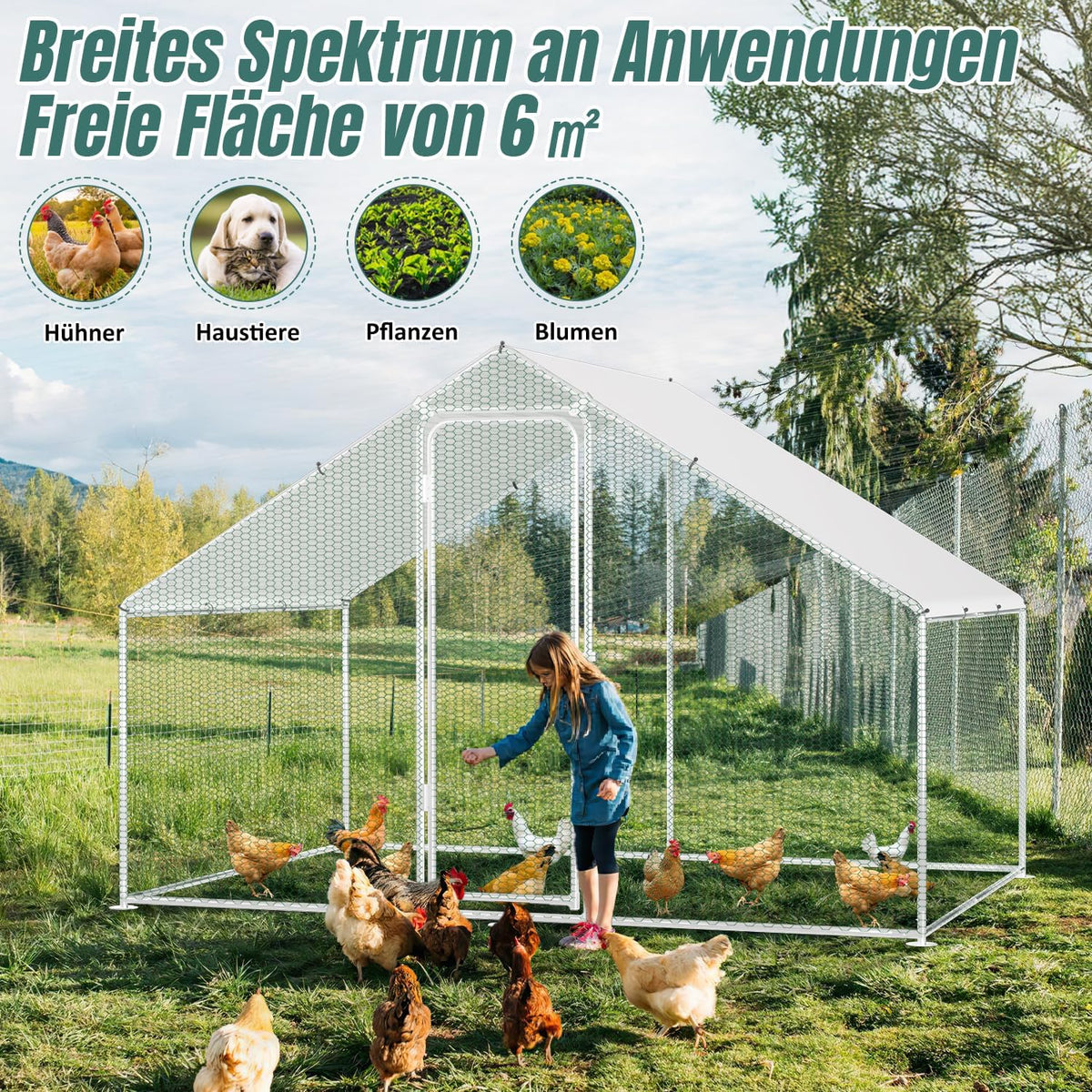 Kippenhok XL – Buitenren – Gevogelthek – Dierenren – Volière – Verzinkt Stalen Frame – 3x2x2 Meter Met Afsluitbare Deur