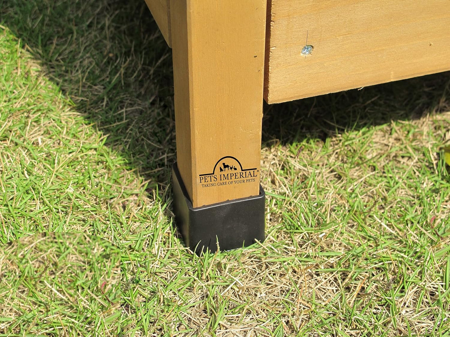 Pets Imperial Savoy Large Chicken Coop Single Nest Box Holds Up to 4 to 6 Birds Depending on Size - QUORE