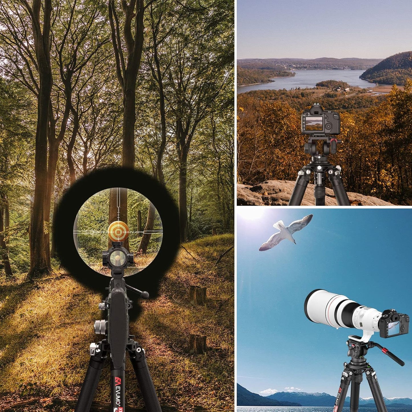 Koolstofvezel Statief – Camera Statief – Videostatief – Dslr Statief – Driepoot – 40 Mm Buis – Draagvermogen Tot 40 Kg