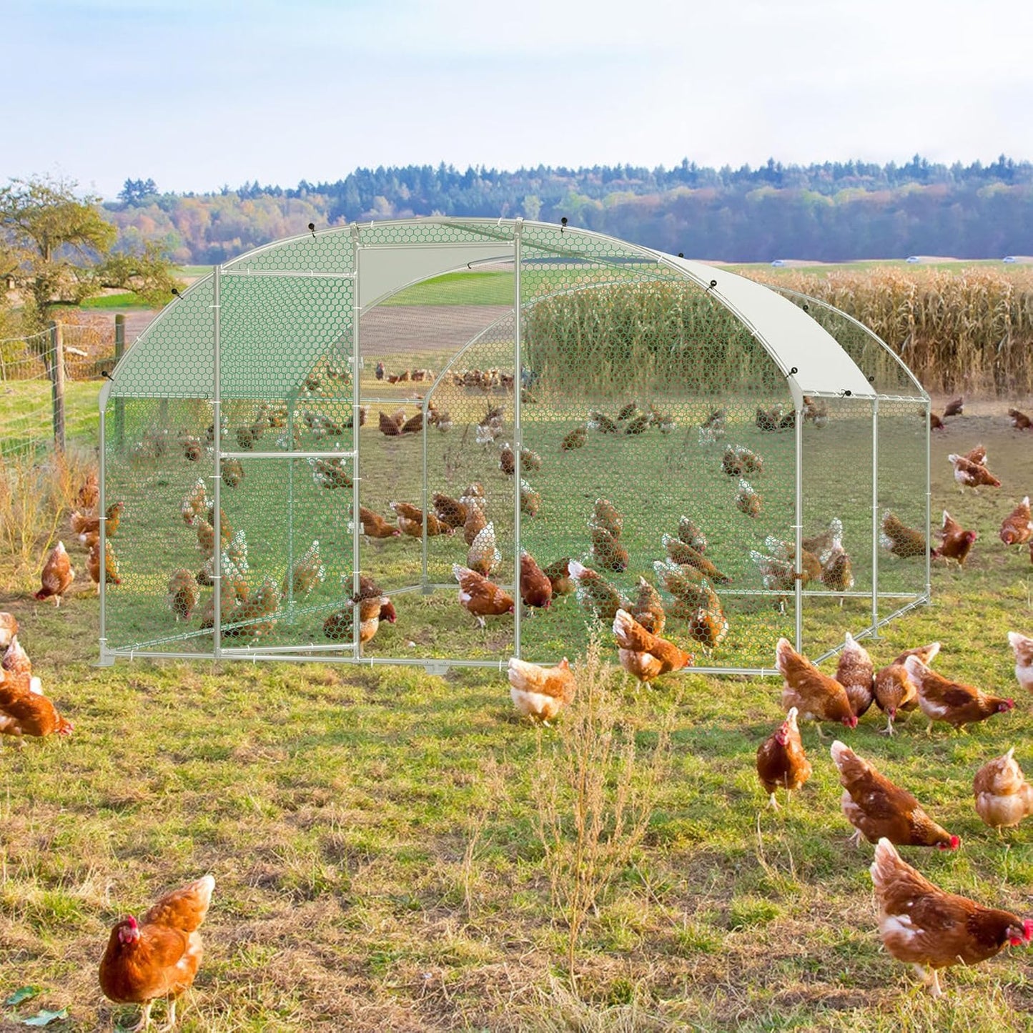 Chicken Coop, Metal Enclosure, Poultry House, Small Animals, Galvanized Steel Frame with PE Roof, Arch Mount, 3 x 4 m - QUORE