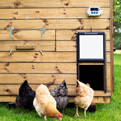 ChickenGuard Automatic Chicken House Door Opener, Power Source: Solar/Batteries/Electric. Timer/Light Sensor; Motor units alone or Combination kits. (PRO + Door + Batteries) - QUORE