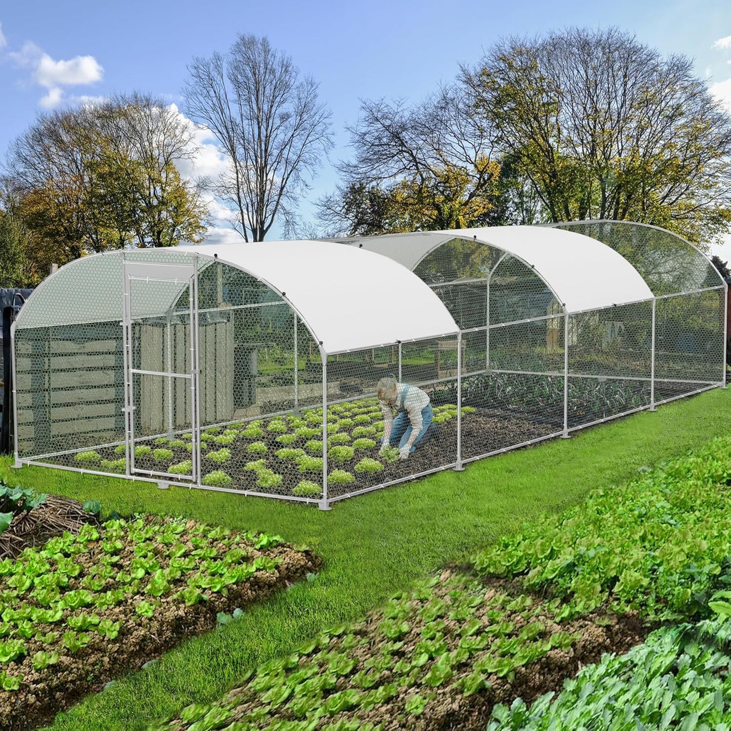 Kippenhok – Kippenren – Pluimveehok – Dierenren – Buitenren – Verzinkt Stalen Frame – Groot Formaat 300 x 800 x 185 cm