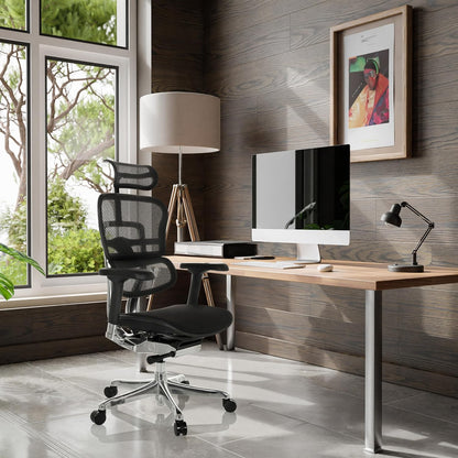<font dir="auto" style="vertical-align: inherit;"><font dir="auto" style="vertical-align: inherit;">        hjh OFFICE Ergohuman Professional office chair with flexible lumbar support, original design, padded seat, mesh back, black       </font></font>